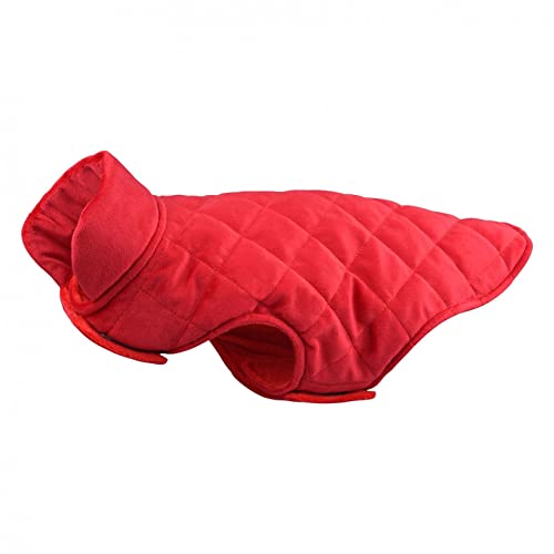 Coversolat Hundemantel Für Kleine Hunde, Wasserdichter Warmer Hund Wintermantel Für Kleine Mittlere Hunde Winterjacke Hund Warm Mantel Jacke Hund Katze Bekleidung Frühling Herbst Winter von Coversolat