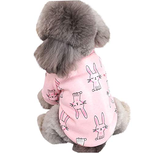 Coversolat Hundepullover Kleine Hunde - Hund Pullover Mit Hase Drucken Sweater Hundekleidung f黵 Franz鰏ische Bulldogge Chihuahua Corgi von Coversolat