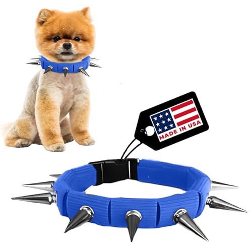 CoyoteCollar Hundehalsband mit Stacheln, Blau, kleines Spike-Halsband für Hunde, verstellbares Stachelhalsband, Nietenhalsband und Kojote-Halsband zum Schutz vor Kojoten und aggressiven Hunden von CoyoteVest