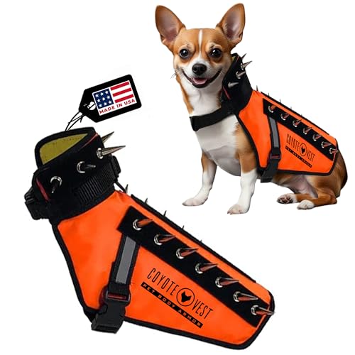 CoyoteVest Hundegeschirr Schutzweste, reflektierendes Hundezubehör mit Spikes, Schnappschnallen für schnelles Tragen und Entfernen (XXS, fluoreszierendes Orange) von CoyoteVest