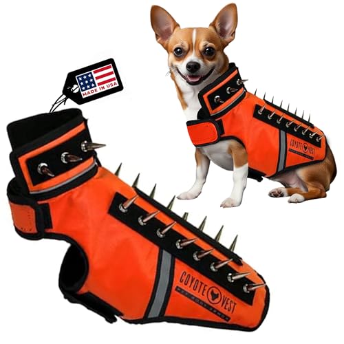 CoyoteVest SpikeVest Hundegeschirr, reflektierendes Hundezubehör mit Spikes, um Ihr Haustier vor Raptor- und Tierangriffen zu schützen, hergestellt in Amerika, Größe XS, Fluoreszierendes Orange von CoyoteVest