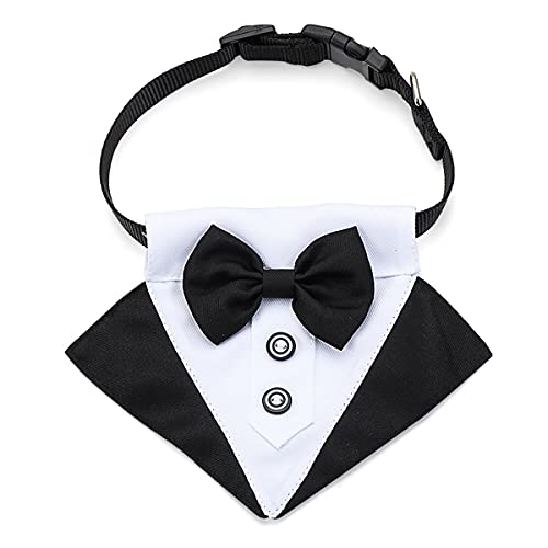 Cozylkx Pet Dog Cat Formal Necktie Animal Bow tie, Adjustable Dog Necktie Pet Costume Necktie Decoration, Black L von Cozylkx