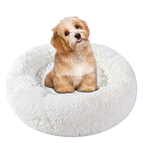 Katzenbett Hundebett Flauschig Waschbar rund Katzenkissen Hundekissen Plüsch Haustierbett Donut Hundekorb Katzenkorb für Katzen und kleine mittelgroßen Hunde (50CM, Weiß) von Cozywind