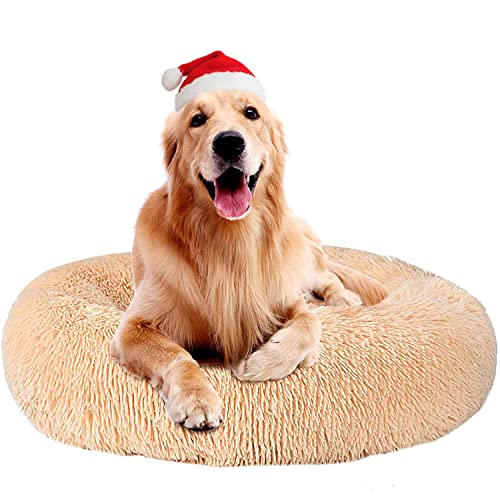 Katzenbett Hundebett Flauschig Waschbar rund Katzenkissen Hundekissen Plüsch Haustierbett Donut Hundekorb Katzenkorb für Katzen und kleine mittelgroßen Hunde (70CM, Beige) von Cozywind