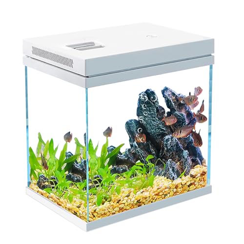 Craftsboys Aquarium, Nano-Glas, Süßwasser und Marine, Zubehör im Lieferumfang enthalten (Weiß, 10 l) von Craftsboys