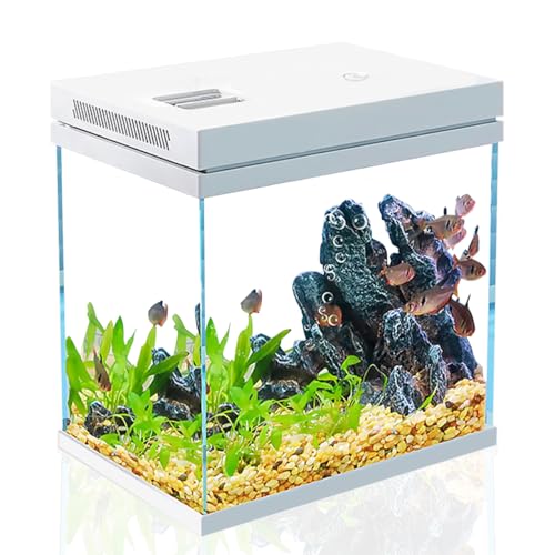 Craftsboys Aquarium, 2,5 Gallonen Nano-Aquarium, Upgrade-Filtersystem und LED-Licht, für Süßwasser und Marine, Filterbälle im Lieferumfang enthalten (2,5 Liter) von Craftsboys