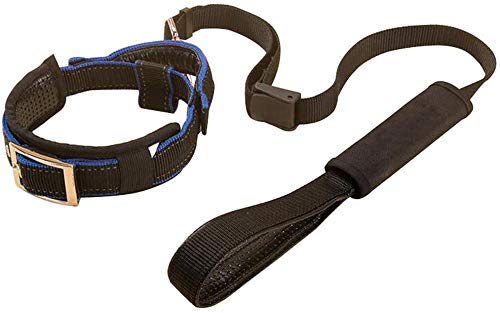 Creation Core 1 Set Verstellbarer Hunde-Sicherheitsgurt & Hundehalsband mit elastischem Griff, weich gepolstert, Premium 2-in-1 reflektierende Haustier-Leine von Creation Core