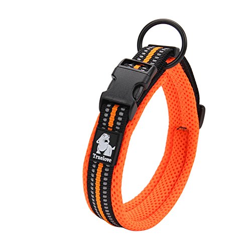 Creation Core 3M Hundehalsband, reflektierend, gepolstert, Nylon, verstellbar, für Abenteuer, Orange L von Creation Core