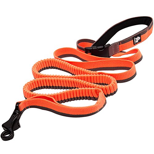 Creation Core Bungee-Hundeleine für Hunde, mit Griff, elastisch, Nylon, Größe M, Orange von Creation Core