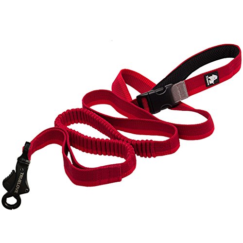 Creation Core Bungee-Hundeleine mit Kontrollgriff, elastisch, Nylon, Größe L, Rot von Creation Core