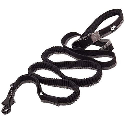 Creation Core Dog Running Bungee Leine mit Control Griff Elastisches Nylon Pet führt Seil, M 1" Width, 55-78.7" Length, Schwarz von Creation Core