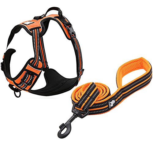 Creation Core Hundegeschirr und Trainingsleine aus reflektierendem Nylon, gepolstert, langlebig, verstellbar, Orange L von Creation Core