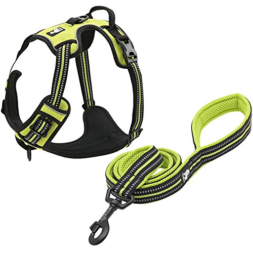 Creation Core Hundegeschirr und Trainingsleine aus reflektierendem Nylon, gepolstert, strapazierfähig, verstellbar, Grün, XL von Creation Core