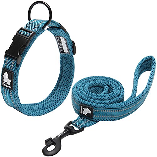 Creation Core Reflektierendes Hundehalsband und Trainingsleine aus Nylon, für alle Jahreszeiten, gepolstert, langlebig, verstellbar, Blau, XS von Creation Core