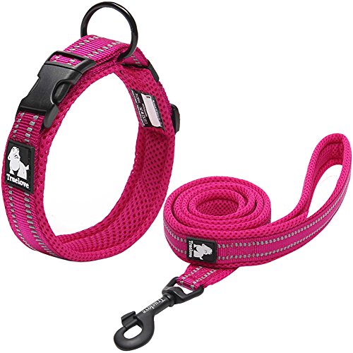 Creation Core Reflektierendes Hundehalsband und Trainingsleine aus Nylon, für alle Jahreszeiten, gepolstert, strapazierfähig, verstellbar, Pink, XS von Creation Core