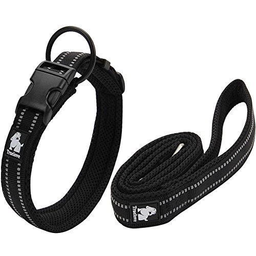 Creation Core Reflektierendes Nylon-Hundehalsband und Trainingsleine, Set für alle Jahreszeiten, gepolstert, strapazierfähig, verstellbar, Schwarz, L von Creation Core