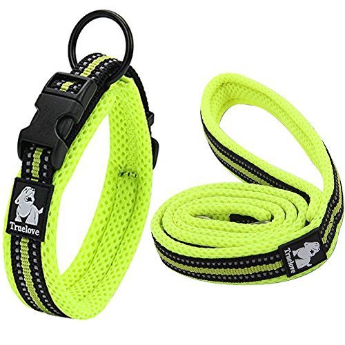 Creation Core Reflektierendes Nylon-Hundehalsband und Trainingsleine Set für alle Jahreszeiten, gepolstert, langlebig, verstellbar, Grün, L von Creation Core