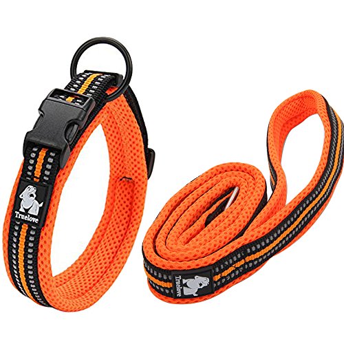 Creation Core Reflektierendes Nylon-Hundehalsband und Trainingsleine Set für alle Jahreszeiten, gepolstert, langlebig, verstellbar, Organe L von Creation Core