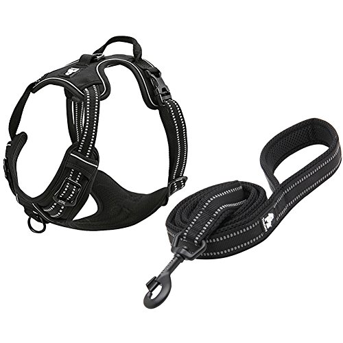 Creation Core Reflektierendes Nylon No-Pull Hundegeschirr und Trainingsleine Set Gepolstert Langlebig Verstellbar Schwarz M von Creation Core