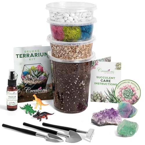 Creations by Nathalie – Large DIY Succulent, Cactus, or Air Plant Terrarium Kit with Soil, Moss, Pebbles, Terrarium Tools, Amethyst Gem, Crystal Chips - Handmade in USA von Creations by Nathalie