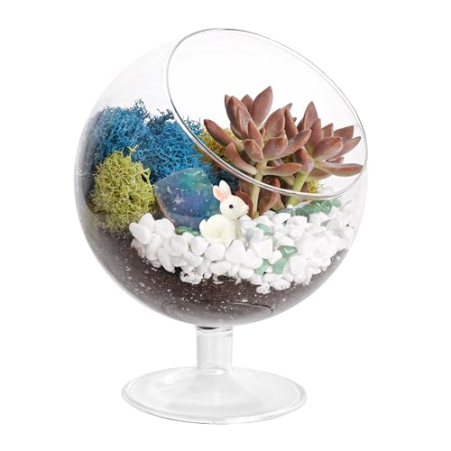 Creations by Nathalie - Pflanzen-Terrarium Kit, Glas DIY Terrarium Starter Kit für Erwachsene, Metallständer, Rentiermoos, Kristall & Felsen, Werkzeuge, Figur Creations by Nathalie - Pflanzen-Terrarium Kit, Glas DIY Terrarium Starter Kit für Erwachsene, Metallständer, Rentiermoos, Kristall & Felsen, Werkzeuge, Figur von Creations by Nathalie