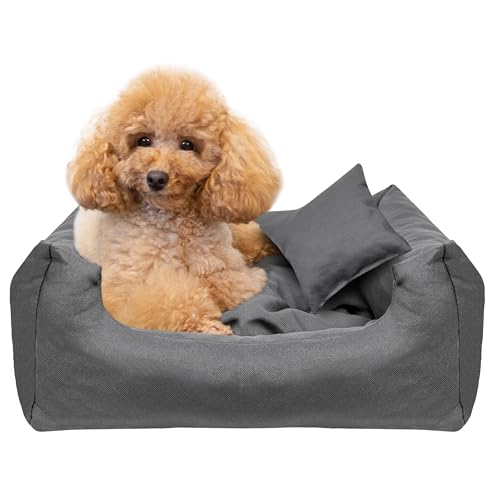 Creative Pets Hundebett 55x45x19 cm | grau | Hundekorb Katzenbett | Bett mit Kissen | Hundesofa | weich bequem | Schlafplätze Möbel für kleine und mittelgroße Hunde von Creative Pets