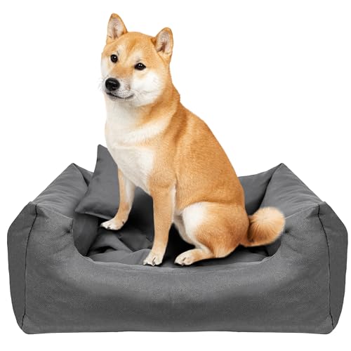 Creative Pets Hundebett 65x55x19 cm | grau | Hundekorb Katzenbett | Bett mit Kissen | Hundesofa | weich bequem | Schlafplätze Möbel für kleine und mittelgroße Hunde von Creative Pets