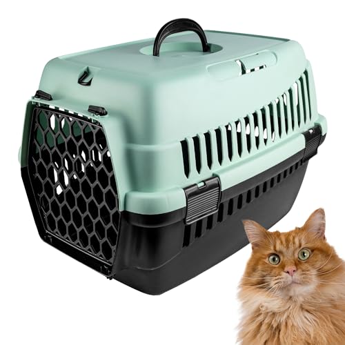 Creative Pets Katzentransportbox | Transportbox für Haustiere, Hunde, Katzen, Kaninchen | Katzenkorb Transport | Maße 50x33x33 cm | Minzgrün | Hundebox Tiertransportbox Hundetransportbox | Kunststoff von Creative Pets