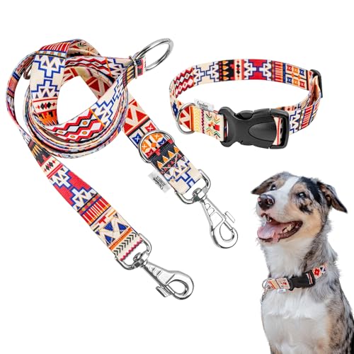 Creative Pets Universal Hundehalsband und Leine Set | Halsband 30 mm und Hundeleine 2,2 m | Leine abnehmbar | Halsband verstellbar |Für mittelgroße und große Hunde Welpen von Creative Pets