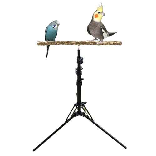 Crevyteg 40,6 - 160,6 cm höhenverstellbarer Vogelsitzstangen, natürliches Pfefferholz, Papageien-Sitzstangen, Vogel-Trainingstangen, Indoor- und Outdoor-Vogelständer für kleine, mittelgroße Vögel von Crevyteg