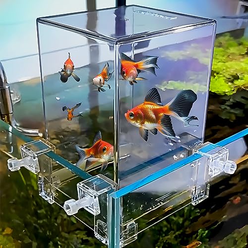 Crevyteg Klarer Unterdruck-Fischtank, Acryl-Fischturm-Antennenverlängerung, erhöht den Aktivitätsbereich der Fische, Aquarium-Dekoration für ökologische Landschaftsgestaltung, bequeme von Crevyteg