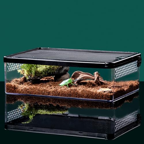 Crevyteg Reptilien-Terrarium Insekten-Tarantel Gehege Tank, Reptilien Zucht Lebensraum Käfig mit atmungsaktiven Löchern, Zuchtbox für gehörnte Frösche Hamster Schlangen Schildkröten Eidechsen Anti von Crevyteg