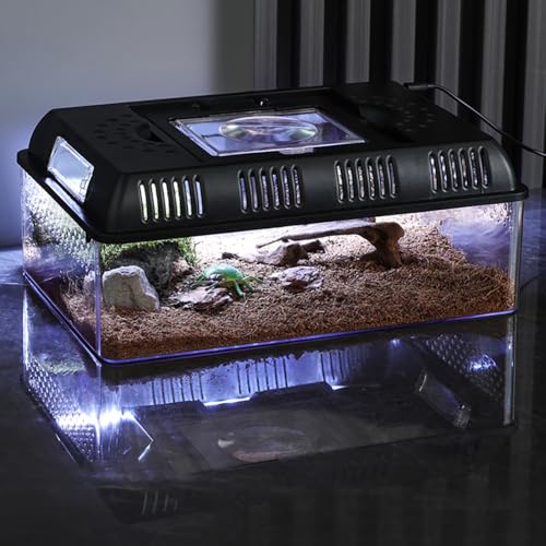 Crevyteg Reptilienbecken Terrarium, Reptile Growth PC Terrarium Komplettset, Schildkröten Gehege für Schnecken Insekten Vogelspinnen Springspinne Leopard Gecko - 31.5 x 22 x 12.5cm von Crevyteg