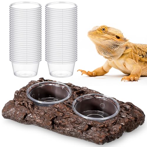 CroBlissful Reptilien-Futterstation mit 52 Stück, 94 ml, Futterbecher, Futternapf, Doppelnapf, Reptilienfutter, Wasser-Futterspender für Reptilien, Gecko, Eidechse, Chamäleon, Haustiere von CroBlissful