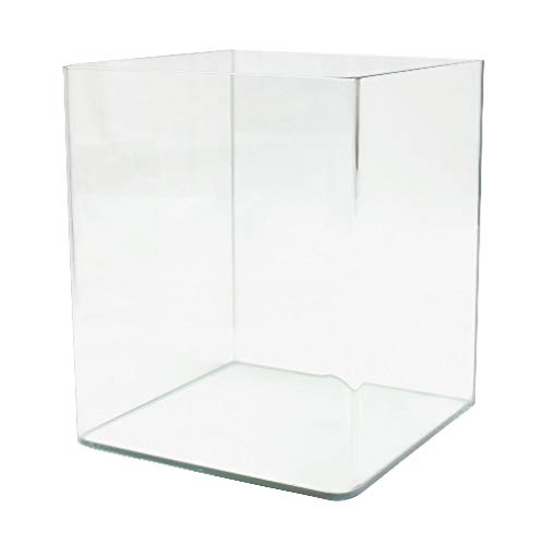 Amtra Nanotank 20 - Aquariumbecken 20 Liter - Glaskasten extra klar 25 x 25 x 30 cm - Becken für Goldfische oder als Schildkrötenbecken für Wasserschildkröten inklusive Stoßdämpfungsmatte von Amtra