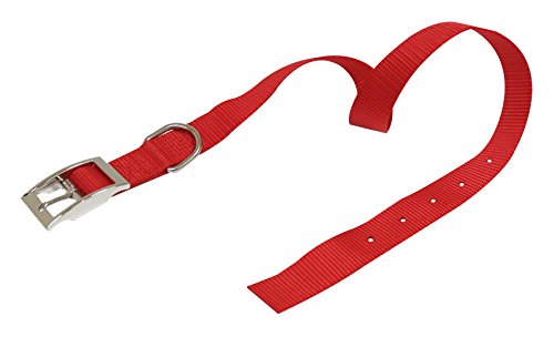 Croci C5MZ0240 Nylonhalsband, 19 x 500 mm, rot von Croci