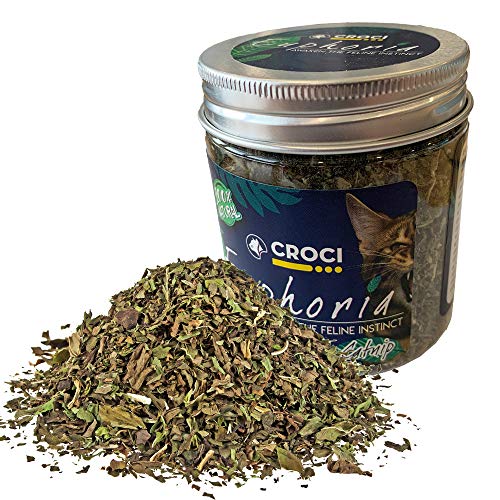 Croci Euphoria - Catnip Glas, essbare Katzenminze, für Katzen, 25g von Croci