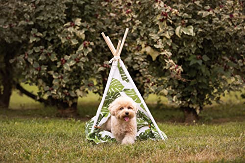 Croci Kissen für Hunde und Katzen aus weicher Mikrofaser in Form Einer Hängematte | Hunde- und Katzenbett mit weichem Kissen im Innenbereich | Muster Jungle Tepee | Maße: 50 x 48 x 70 cm von Croci