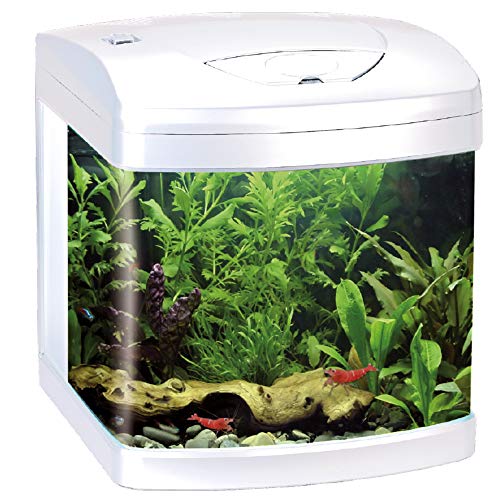 Wave Amtra Laguna XCUBE 26 LED Schwarz - Aquarium komplett mit LED-Beleuchtung und Filter/cm 31x32x37 / 26 Liter von Croci