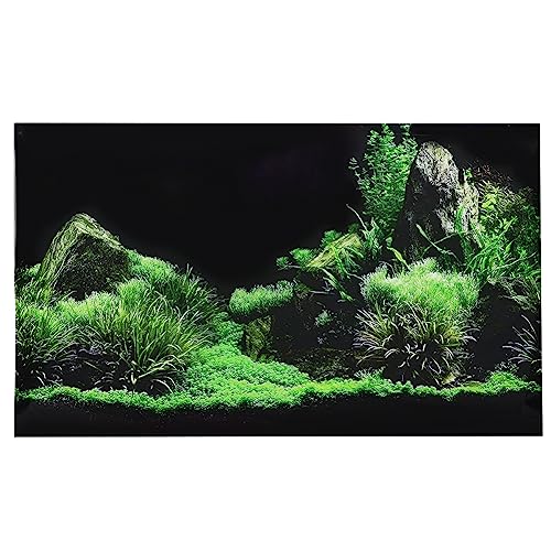 Cryfokt Aquarium-Aufkleber, Wassergras-Aquarium-Aufkleber, kein Verblassen, Nicht Reflektierend, für den Haushalt, für Aquaridum, Büro, Aquarium (61 * 30cm) von Cryfokt