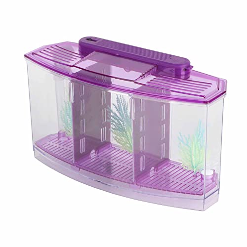 Cryfokt Kleines Aquarium, Desktop-verstellbares Leichtes Aquarium, Mini für Betta-Kleinfische (Lila) von Cryfokt