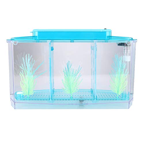 Kleines Aquarium, Desktop Light Fish, Mini für Betta kleine Fische (blau) von Cryfokt