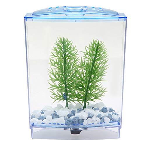 Mini Zuchtbox, Mini Fischtank, Aquarium mit hoher Lichtdurchlässigkeit Effekt von Pflanzen für Aquarium (Einkomponente) von Cryfokt