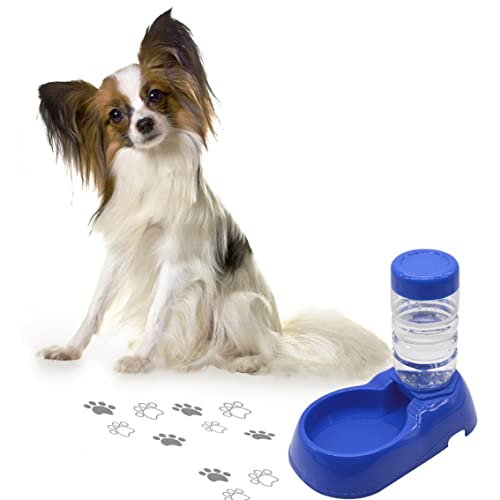 Automatische Hundwasserschale 500 ml Welpen -Lebensmittel -Spender Haustierfuttermittel Hunde Katze Automatische Wasserfuttermittel von Csafyrt