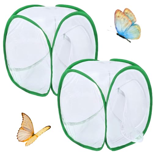 Butterfly Cage 2pcs Schmetterlingslebensraum Käfig 12x12x12 '' Faltbarer Schmetterlingshaus Schmetterling Garten Popup Mesh Zelt Netto Raupen für Schmetterlingskit für Kinder, die aufziehen von Csafyrt