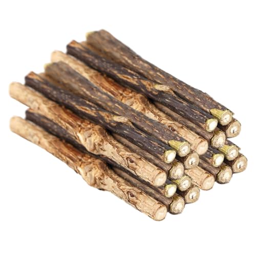 Csafyrt 20pcs Catnip Sticks natürliche Silbervine -Reinigungszähne Molkolben kauen Spielzeug für Kitty Cat von Csafyrt