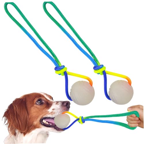 Csafyrt 2pcs glühen in der dunklen Hundebälle 2 Zoll Licht -Hundekugel mit 11,4 -Zoll von Csafyrt