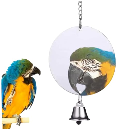 Csafyrt Vogelspielzeug für Sittiche 9,8 -Zoll -Vogelspiegel mit Bell Edelstahl -Stahlhängespielzeug für Lovebirds Conure Cockatiels Finken Kanarien von Csafyrt