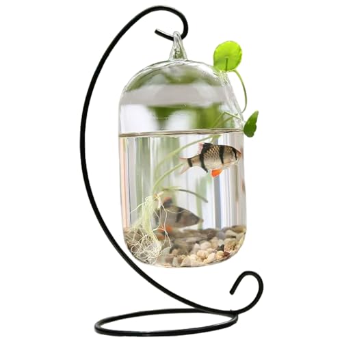 Fischschale klare Wandfischtank mit schwarzem Stand Fisch Kleiner Tischglas Betta Fischtank kreatives Vase -Aquarium für Home Office Dekoration von Csafyrt