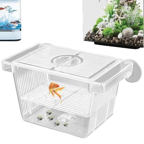 Fischzüchtungsbox, transparente Isolationszüchterbox für Fischtank, 5x3x3 Abnehmbarer Kunststoff Kleiner Fischtank für Babys Fisch, Garnelen, Clownfische und Guppy von Csafyrt